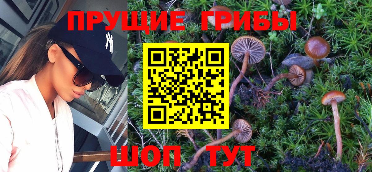 Галлюциногенные грибы Cubensis  Псилоцибиновые грибы ЛСД  где продают наркотики  Люберцы  Вход с VPN 